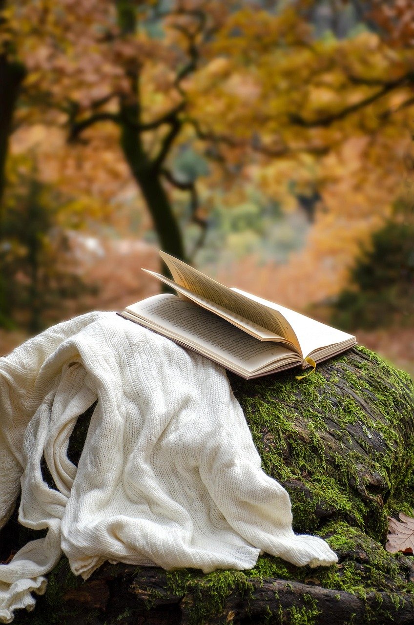 autumn, nature, book, reading, park, foliage, romance, vassilis lappas, forest, calm, relaxation